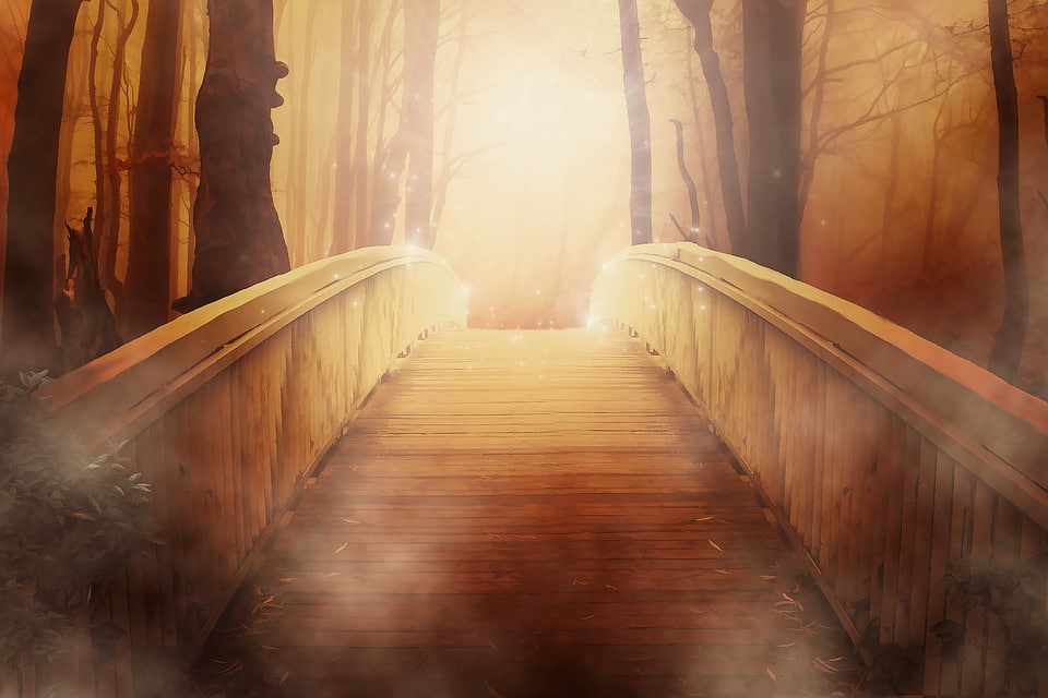 Bridge | Spiritual Learning | Meditation | Church of Divine Man