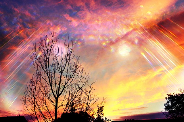 Silhouetted leafless trees against a vivid sunset with orange, pink, and purple clouds and diagonal light streaks.
